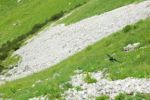 2014-07-05_Laengental-N-Hochweg (840). JPG